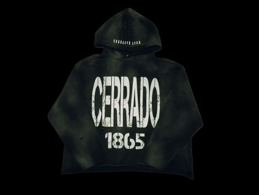 CERRADO “1865” grey distressed hoodie